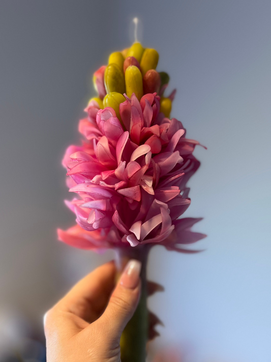 Side view of Hyacinth Flower Candle  with "champagne & Strawberry" fragrance and cotton wick, containing  420 grams of beez wax and offering 10 hours of burn time.